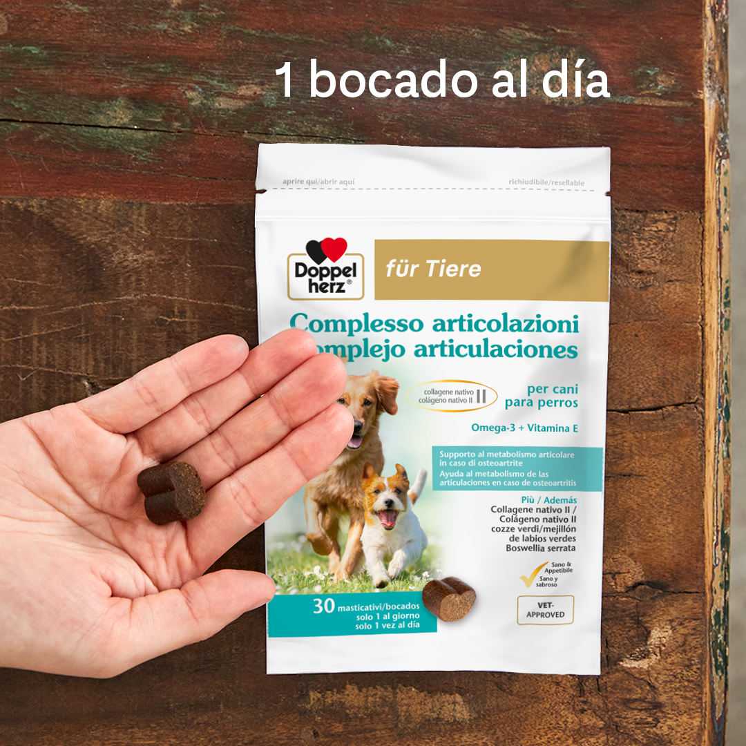 Complejo articulaciones para perros