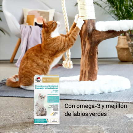 Complejo articulaciones para gatos