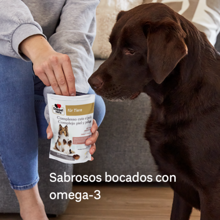 Complejo piel y pelaje para perros