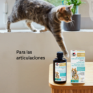 Aceite para articulaciones omega-3 para perros y gatos